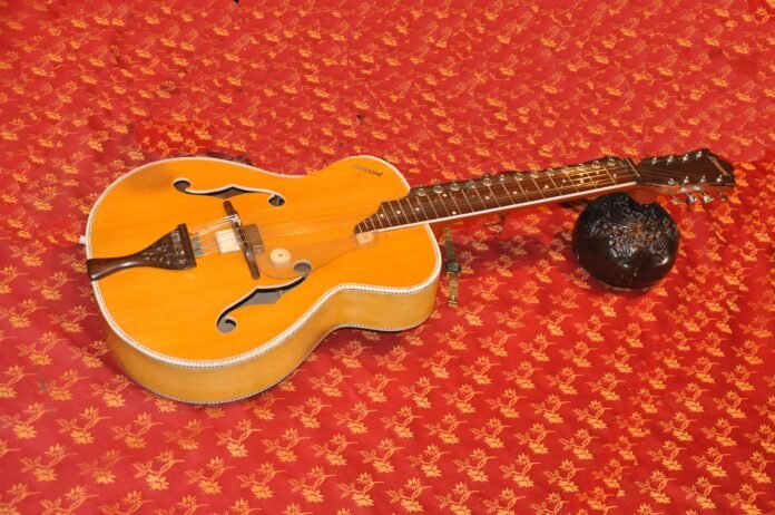 Indian classical veena instrument Indian classical veena instrument