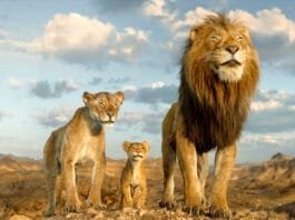 Mufasa: The Lion King" to Stream on Disney+ from March 26, 2025 – Check Details