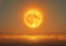 ☀️ Nautapa 2025: नौ दिन चलेगी भीषण गर्मी, इन उपायों से बचाएं खुद को Nautapa 2025