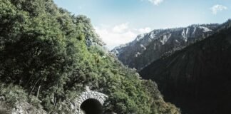 Itanagar Landslide: अरुणाचल प्रदेश के ईटानगर में भारी भूस… Itanagar