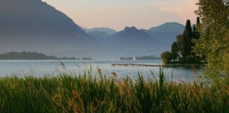 नीतीश बने राज्यसभा सांसद, महागठबंधन के विधायकों ने कैसे ब… नीतीश