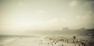 सिक्किम में भारी बारिश का कहर, पेड़ गिरने से महिला की मौत… सिक्किम