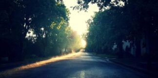 पाकिस्तान क्रिकेट का वो काला दिन जब कप्तान इंजमाम संग हुआ… पाकिस्तान