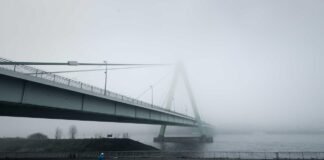 पंजाब के सरकारी स्कूलों में डिजिटल पहल की शुरुआत: IFP और … पंजाब