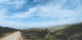 तेलंगाना के जगित्याल में दर्दनाक हत्याकांड, पति ने गर्भवत… तेलंगाना