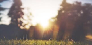 प्रॉम्प्ट एआई सेल्फी फोटो को इदुल फितर की बधाई में बदल दे… प्रॉम्प्ट