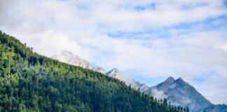 केरल में चुनावी घमासान: कांग्रेस की 55 नामों की सूची, सिर… केरल