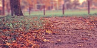 Comex Gold Rate Today: कॉमेक्स में सोना 47 डॉलर प्रति औंस… Comex