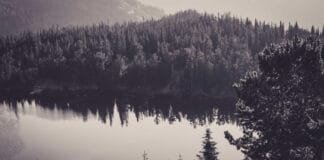 घर के अंदर बाइक स्टार्ट करना पड़ा महंगा, 3 मासूमों समेत 4…