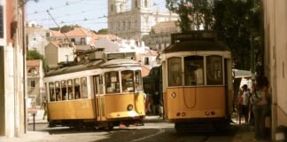 राजश्री ने जीता कांस्य – Dainik Bhaskar राजश्री