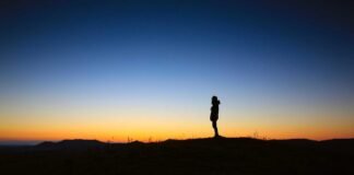 नकली शराब के नेटवर्क पर प्रहारः धनबाद में नागालैंड नंबर क… नकली