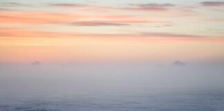 आंध्र प्रदेश में मुफ्त बस में सफर कर सकेंगे दिव्यांग, शुर… आंध्र