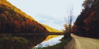 असम में एक चरण में विधानसभा चुनाव, किनके बीच होगी कांटे क…