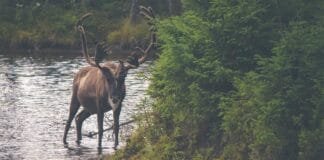 AIIMS राजकोट आत्महत्या केस में पुलिस को मिला 17 पेज का सु…