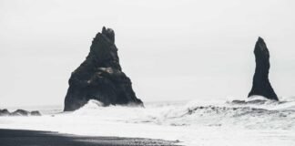 DNA: US का नागरिक गिरफ्तार, मणिपुर हिंसा में हाथ? अमेरिकी… DNA