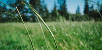 Landslide in Kishtwar: जम्मू-कश्मीर के किश्तवाड़ में भूस्…