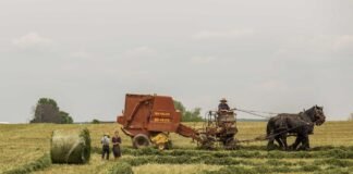 सोनो के एक मात्र खेल के मैदान के अस्तित्व पर मंडराने लगा … सोनो