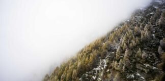 Noida News: संशोधित
दिल्ली और आरपीएफ की टीमें सेमीफाइनल म… Noida