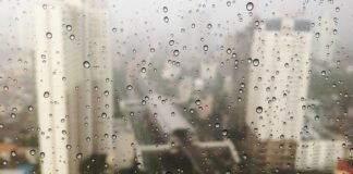 हरियाणाः सोनीपत में यूट्यूबर गिरफ्तार, खबर के नाम पर करता… हरियाणाः