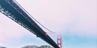 शेरघाटी में जज और वकीलों के बीच क्रिकेट मुकाबला: जज एलेवन… शेरघाटी