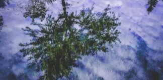 मणिपुर में एलपीजी की जमाखोरी रोकने के लिए टीमें गठित मणिपुर