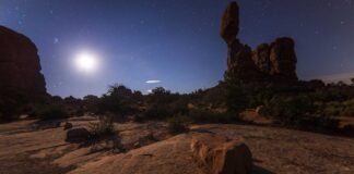 त्रिपुरा और नागालैंड उपचुनाव भाजपा ने उम्मीदवारों के नामो… त्रिपुरा