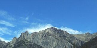 श्रीनगर में इंटरनेशनल साइबर रैकेट का भंडाफोड़, भारत समेत … श्रीनगर