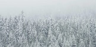 लद्दाख से पुणे लौट रहे तीन दोस्तों की सड़क हादसे में मौत,… लद्दाख