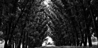 पत्रकार रौनक शिवहरे की गिरफ्तारी के बाद बवाल, पत्रकारों क…