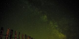 ओडिशा की MLA सोफिया फिरदौस को कांग्रेस ने पार्टी ने निकाल… ओडिशा