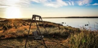 Surat Murder Case: सूरत में बिहार की महिला का मर्डर, शक म… Surat