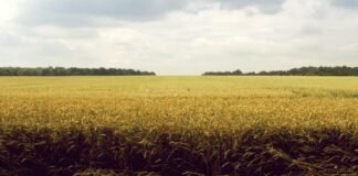 लुधियाना में लाडोवाल टोल प्लाजा पर किसानों का प्रदर्शन – …