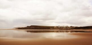 बिहार में श्मशान के कोयले से बन रही अगरबत्ती: 1000cr का क… बिहार