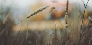 दिल्ली जल बोर्ड पानी की बिलिंग प्रणाली में करने जा रहा बड… दिल्ली