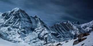 मणिपुर: तमेंगलोंग में शहद उत्पादन बढ़ाने की पहल, 100 से अ… मणिपुर