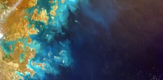 Lucknow News: युवक से की लूटपाट विरोध पर सिर फोड़ा – Amar… Lucknow