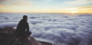 उगादी पर आंध्र प्रदेश के सीएम ने तेलुगु लोगों को दी बधाई,… उगादी