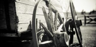 वैलर एस्टेट को मिला गोवा सरकार से करोड़ों का प्रोजेक्ट, र… वैलर