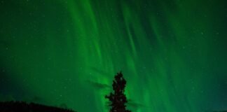 स्टॉक मार्केट में लाभ का झांसा देकर फर्जी निवेश करवा रहे … स्टॉक