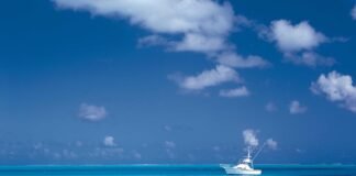 Dehradun News: मिस इंडिया उत्तराखंड का ग्रैंड फिनाले 21 क… Dehradun