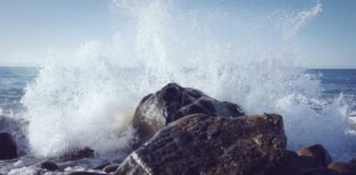 चंडीगढ़ सेक्टर-9 मर्डर केस: लक्की पटियाल गैंग का खुलासा, 3… चंडीगढ़