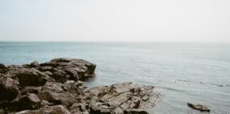 बंगाल चुनाव: TMC का मेनिफेस्टो जारी… जानें 'दीदी क… बंगाल