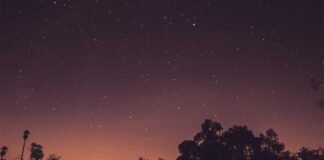 गोवा ट्रिप पर कर दी ये हरकत तो सीधा होगी जेल! जाने से पहल… गोवा