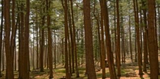 UP News Today Live: उत्तर प्रदेश ब्रेकिंग न्यूज़, पढ़ें 2… News