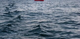 दशरथपुर में पशु स्वास्थ्य जागरूकता शिविर – Dainik Bhaskar दशरथपुर