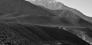 Chandigarh News: स्पोर्ट्स, फिटनेस और ग्लैमर के साथ मेडल … Chandigarh