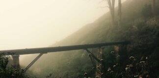 भास्कर अपडेट्स: आंध्र प्रदेश में गोदावरी नदी में पांच इंज… भास्कर