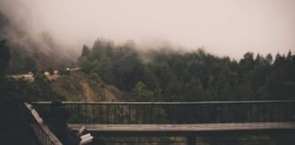 हिमाचल के पर्यटन को मंदिरों ने लगाए पंख, पांच शक्तिपीठों … हिमाचल