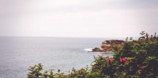 झारखंड में ईडी की कार्रवाई: ईडी ने 7 साल में 53 केस दर्ज … झारखंड