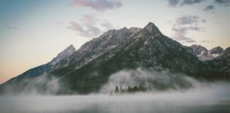 इस चीज का उत्पादन करके महिला ने किया कमाल, दूसरों को भी द… चीज